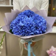Синие гортензии